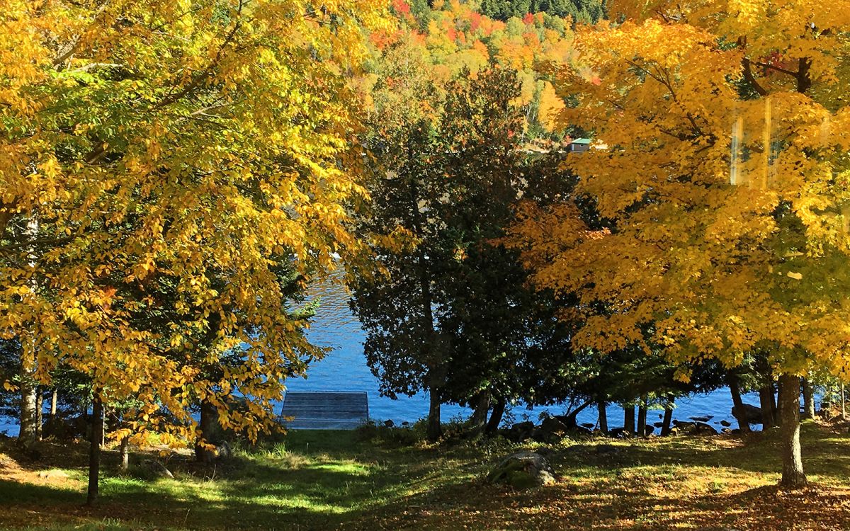 Real Estate Photography & Virtual Tours Bark Lake