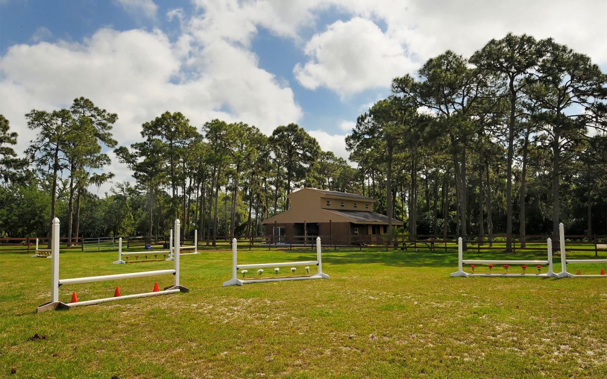 Schooling Ring with Jumps Facing Front Barn